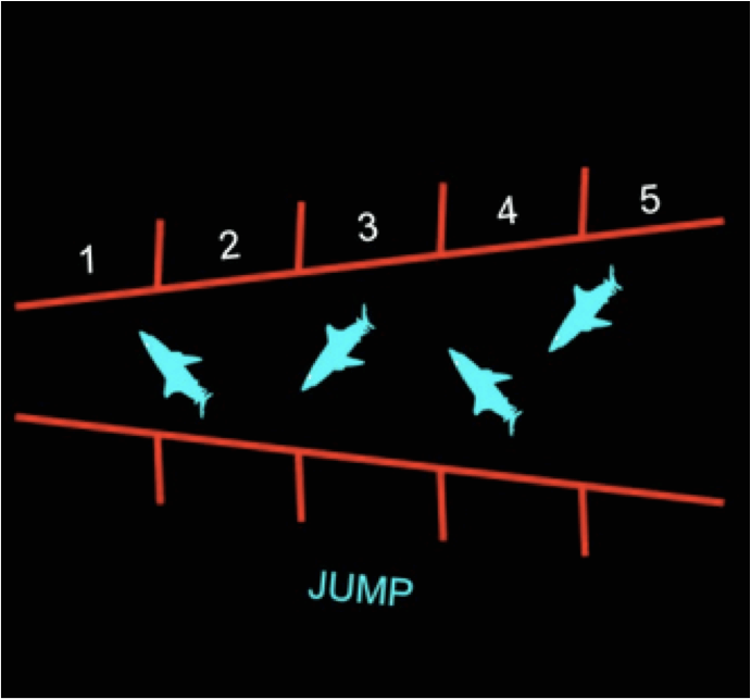 Shark Jump