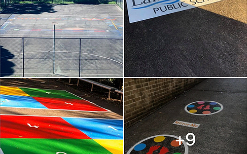 Lakelands Public School